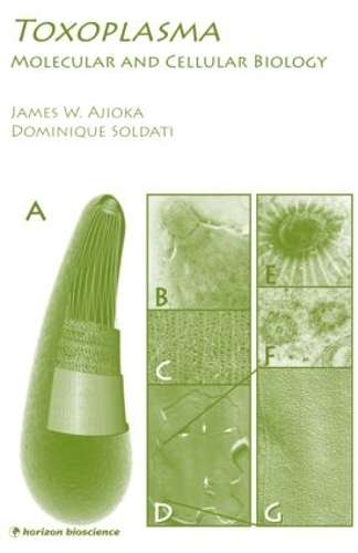 TOXOPLASMA - AJIOKA,J