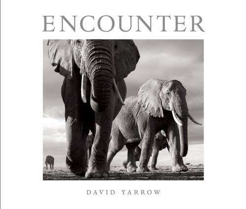 ENCOUNTER - YARROW,D