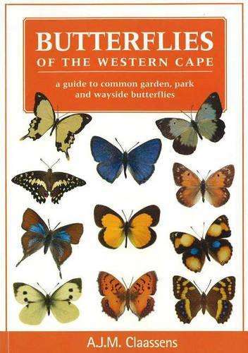 Butterflies of the Western Cape - A. Claassens
