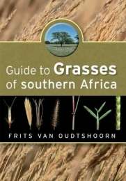 GUIDE TO GRASSES OF SOUTHERN AFRICA SECONDHAND - VANOUDTSHOORN,F
