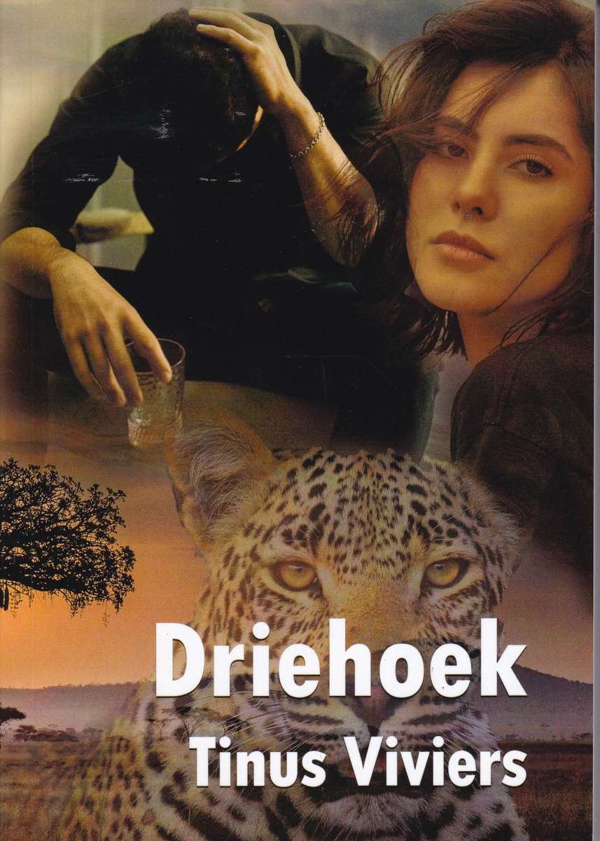 DRIEHOEK - VIVIERS,T