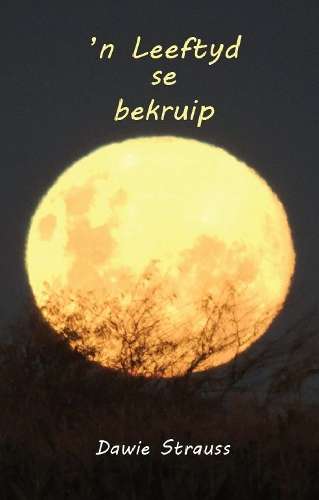 N LEEFTYD SE BEKRUIP - STRAUSS,D