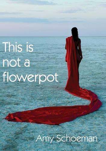 This is not a flowerpot - Amy Schoeman