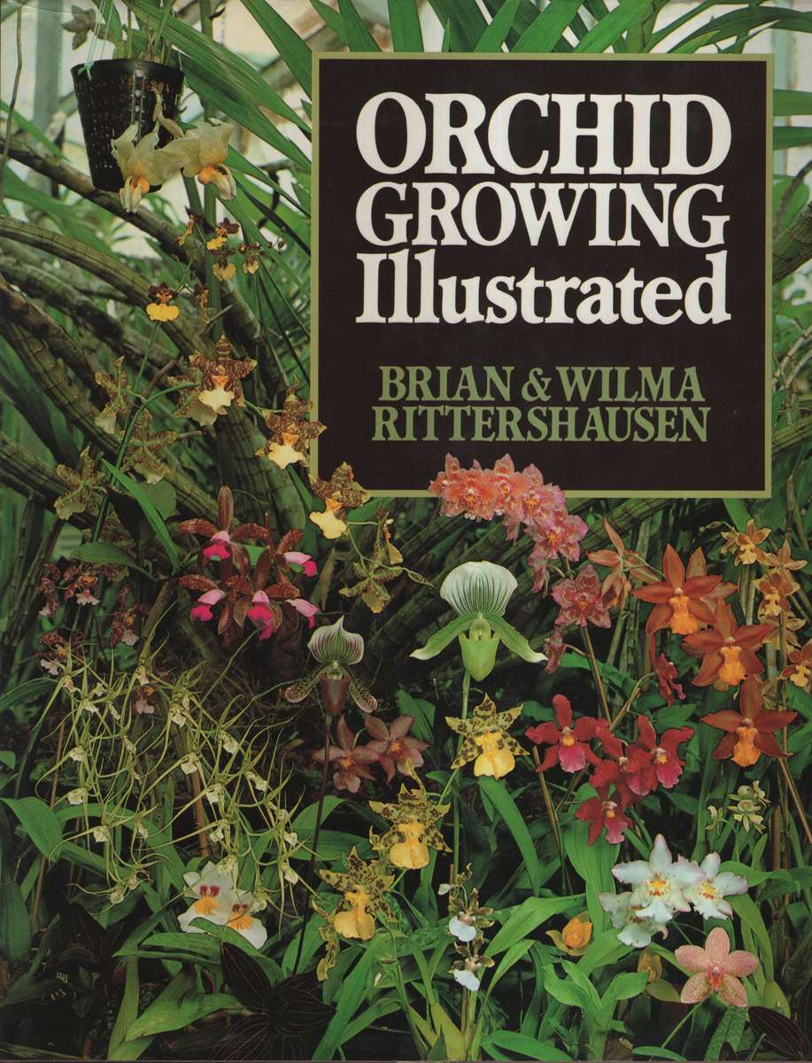 Orchid Growing Illustrated - Rittershausen, Brian; Ritter
