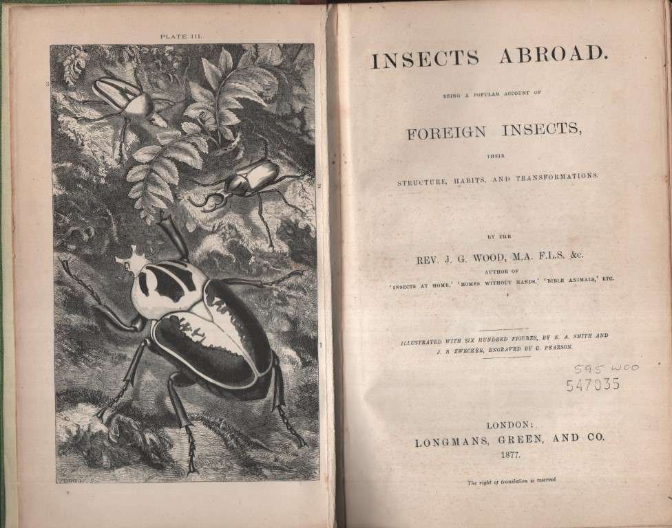 INSECTS ABROAD - WOOD,JG
