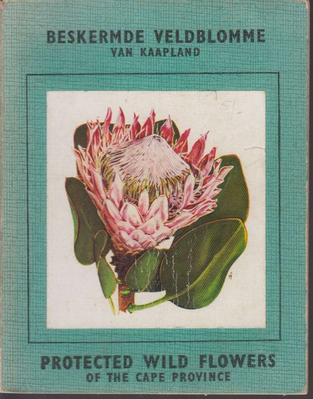 BESKERMDE VELDBLOMME VAN KAAPLAND - ANON