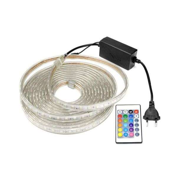Rope Light LED Clear with a Controller (10m roll)