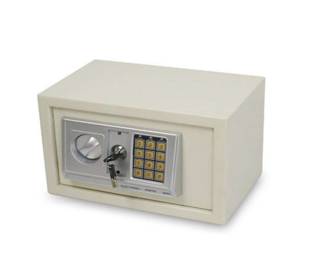Electric safe