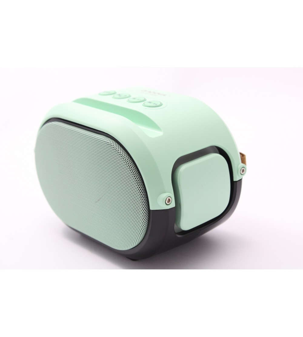 Wireless Speaker with Disco Light