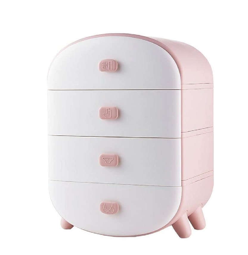 4 Drawer Storage Case For Small Items