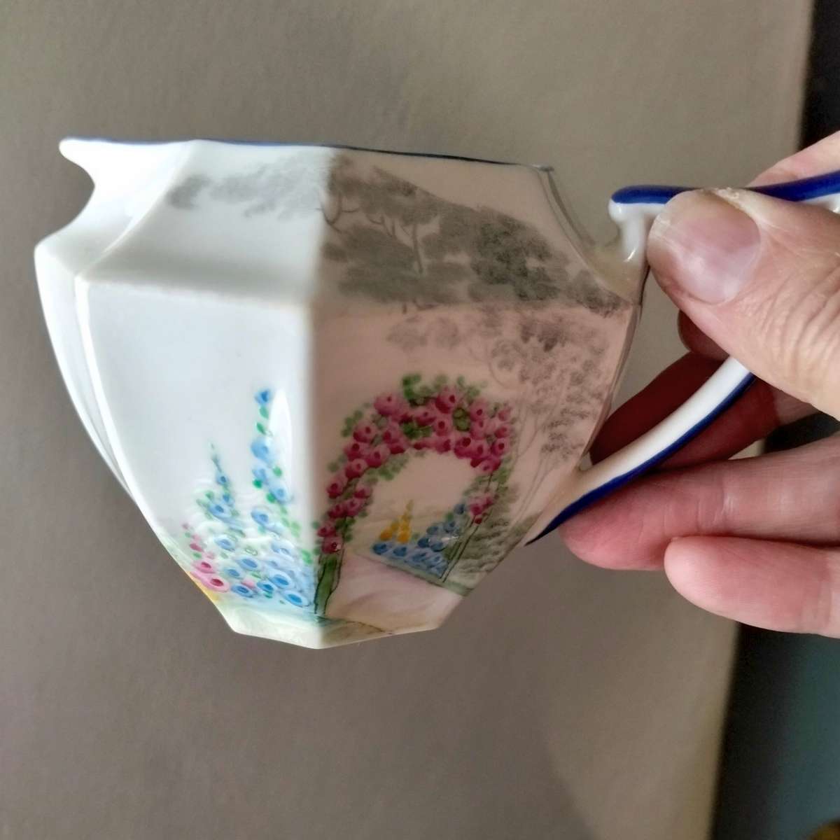 Shelley Garden Pattern Porcelain Tea for 2