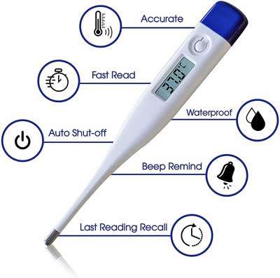 BWW Digital Pen Thermometer