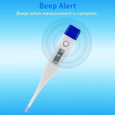 BWW Digital Pen Thermometer