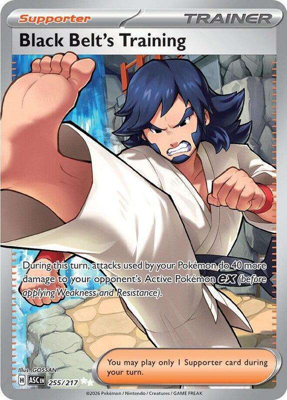 Black Belt's Training - 255/217 - Ascended Heroes - Black Belt's Training - 255/217 - Ascended He...