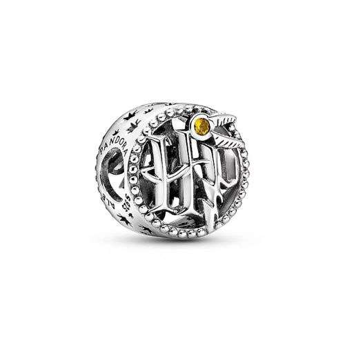 Harry Potter Icon Charm