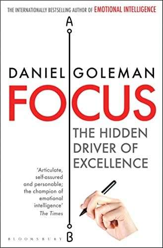 Focus: The Hidden Driver of Excellence (Paperback)