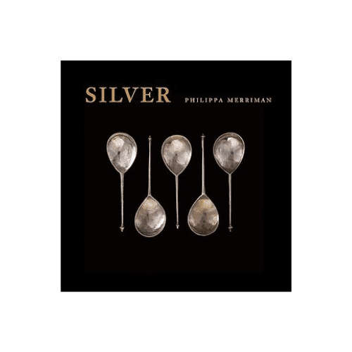 Silver by Philippa Merriman (Hardcover)