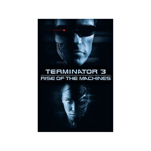 Terminator 3 - Rise of the Machines DVD