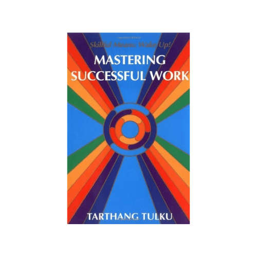 Mastering Successful Work: Skillful Means: Wake Up!