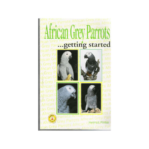 African Grey Parrots...Getting Started
