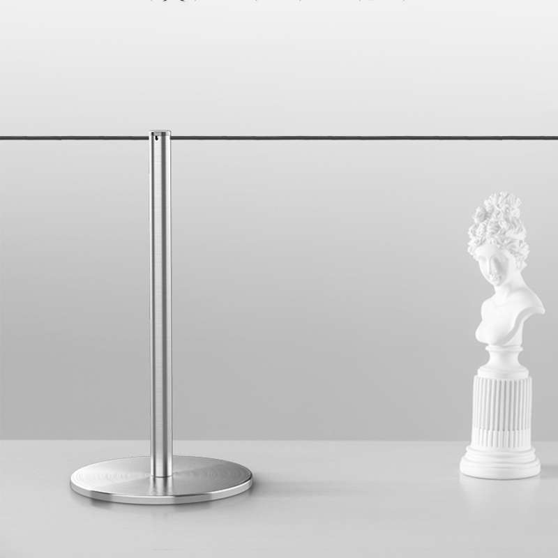 Brushed Silver Stylish Low Profile Museum Stanchion