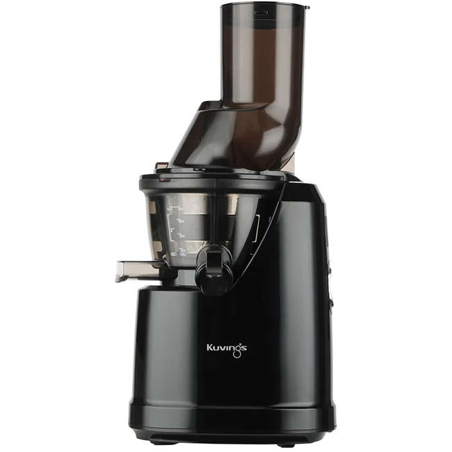 B1700 Whole Slow Juicer