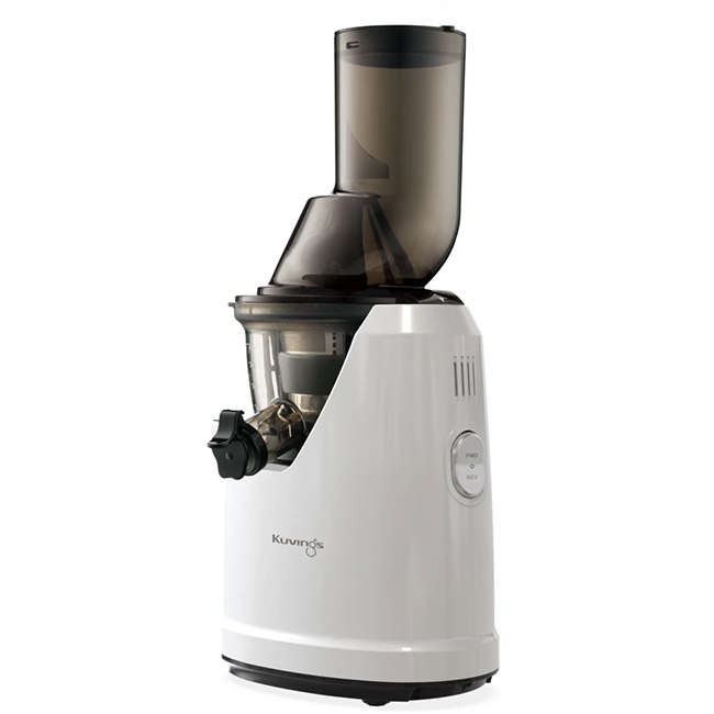 B1700 Whole Slow Juicer