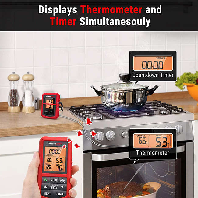 Digital Wireless Thermometer With Dual Probe