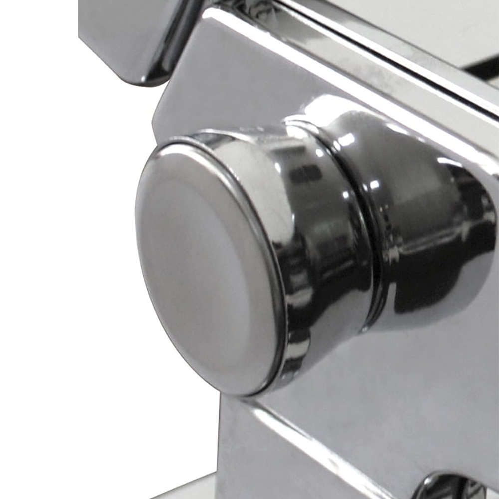 Professional Pasta Maker