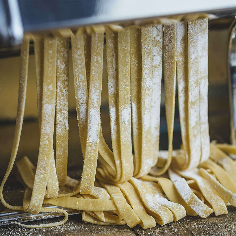 Professional Pasta Maker