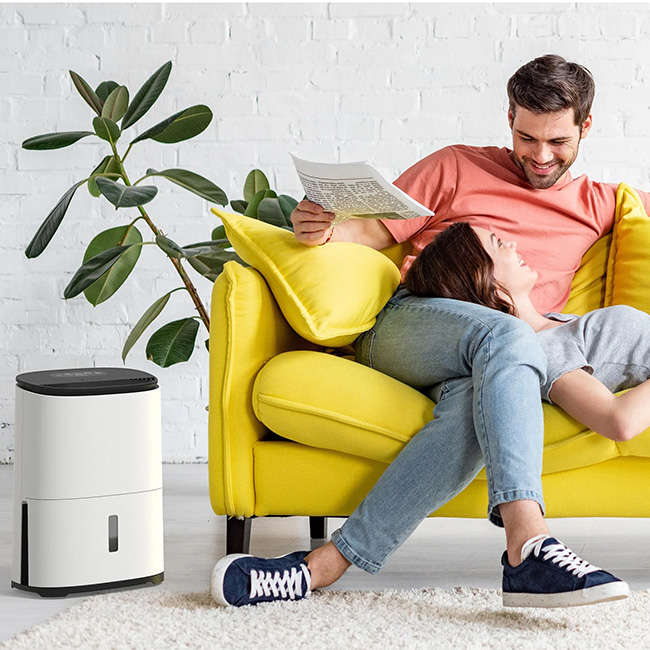 MeacoDry Arete One Dehumidifier & Air Purifier, 12L