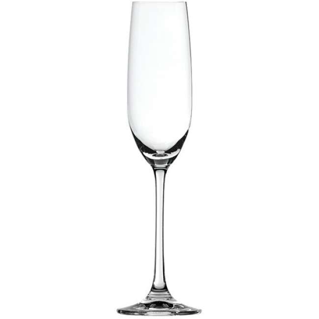 Salute Champagne Glasses, Set Of 4