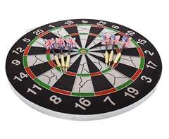 Flocked Pro Dart Board