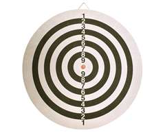 Flocked Pro Dart Board