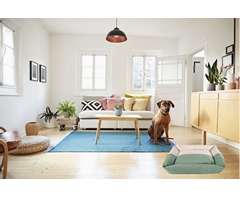 Two-Tone Dog Lounger