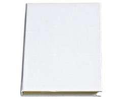 Sticky-Memo Book