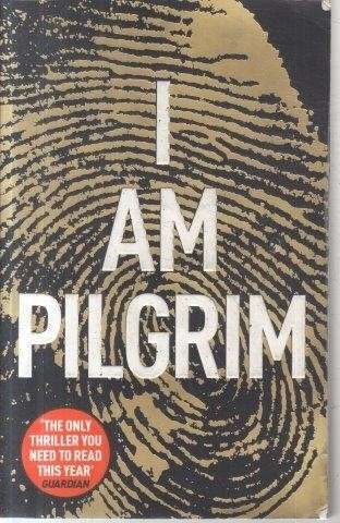 I Am Pilgrim - Hayes, Terry