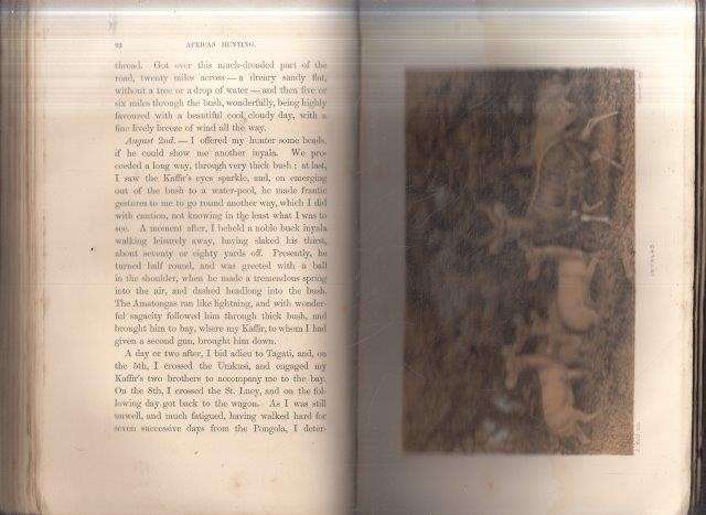 African Hunting From Natal to the Zambesi - Baldwin, William Charles