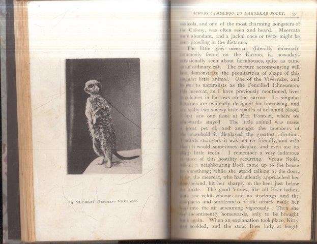 Kloof and Karroo: Sport, Legend, and Natural History in Cape Colony - Bryden, H. A.