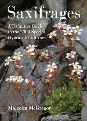 Saxifrages: The Definitive Guide To 2000 Species, Hybrids And Cultivars - McGregor, Malcolm