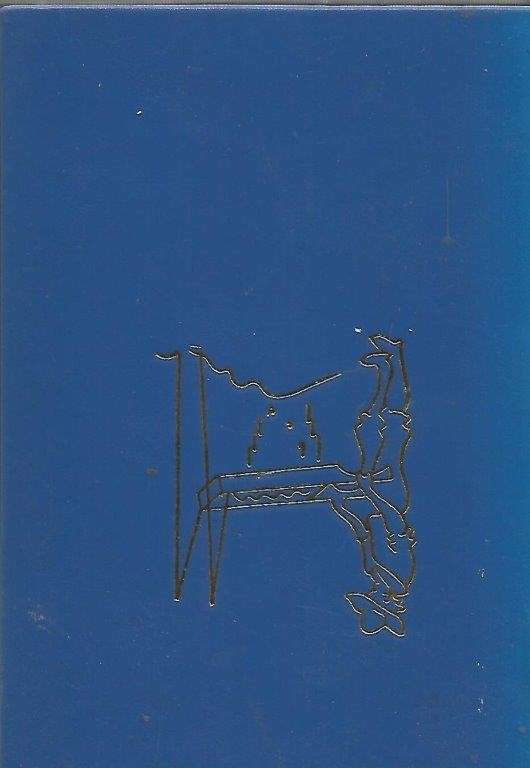 The South African Diamond Fields (Hardcover) - Babe, J. L.