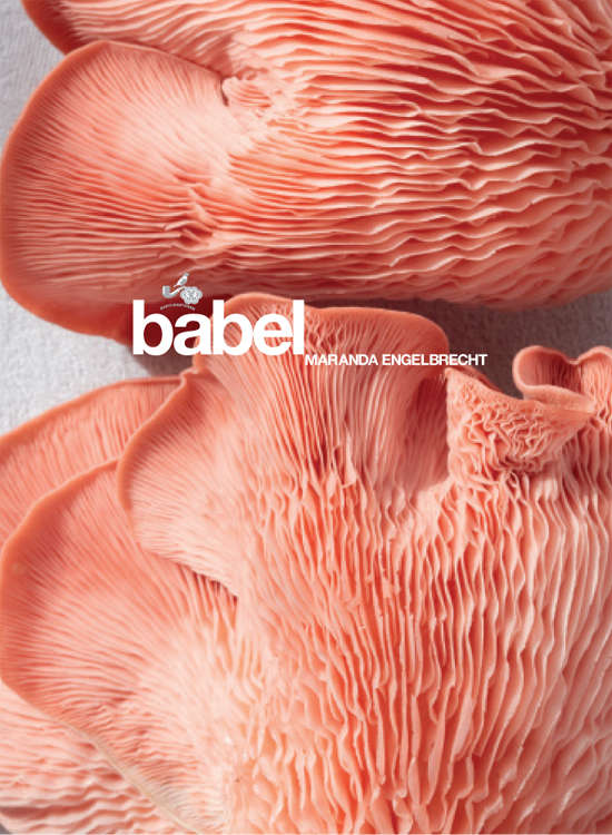 Babel  by Maranda Engelbrecht