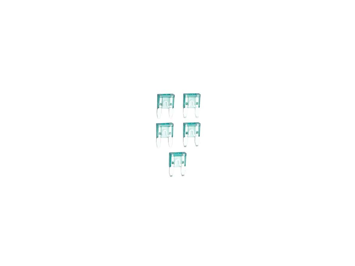 30 AMP. Blade Type Fuse 5 PCS. 17555