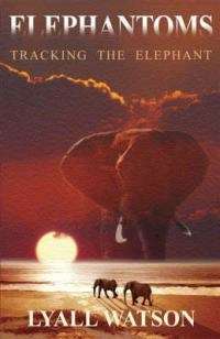 Elephantoms: Tracking the elephant