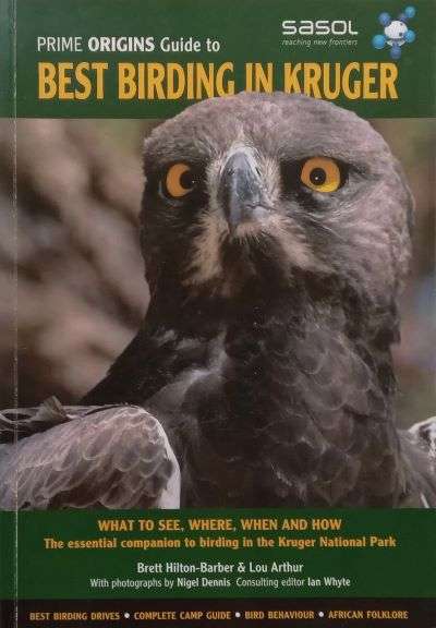 Prime Origins Guide to Best Birding in Kruger
