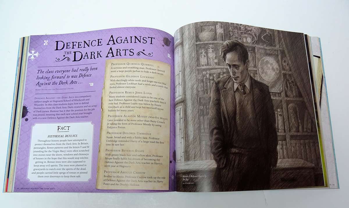 Harry Potter: A Journey Through a History of Magic