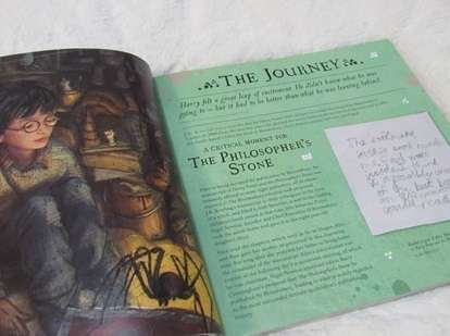 Harry Potter: A Journey Through a History of Magic