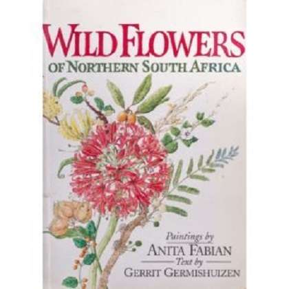 Wild Flowers of Northern South Africa