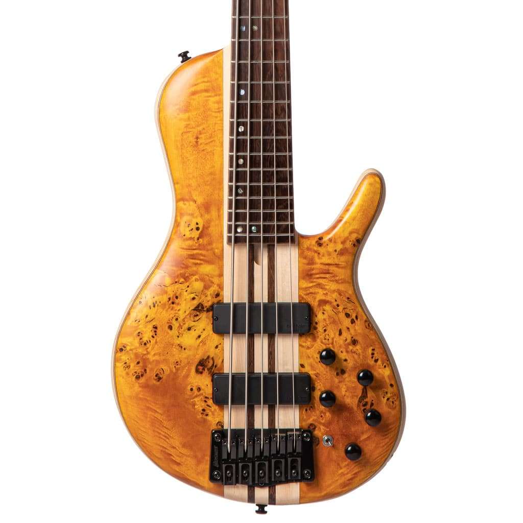 Cort A5 Plus Single Cut  5-String  Poplar Burl Open Pore