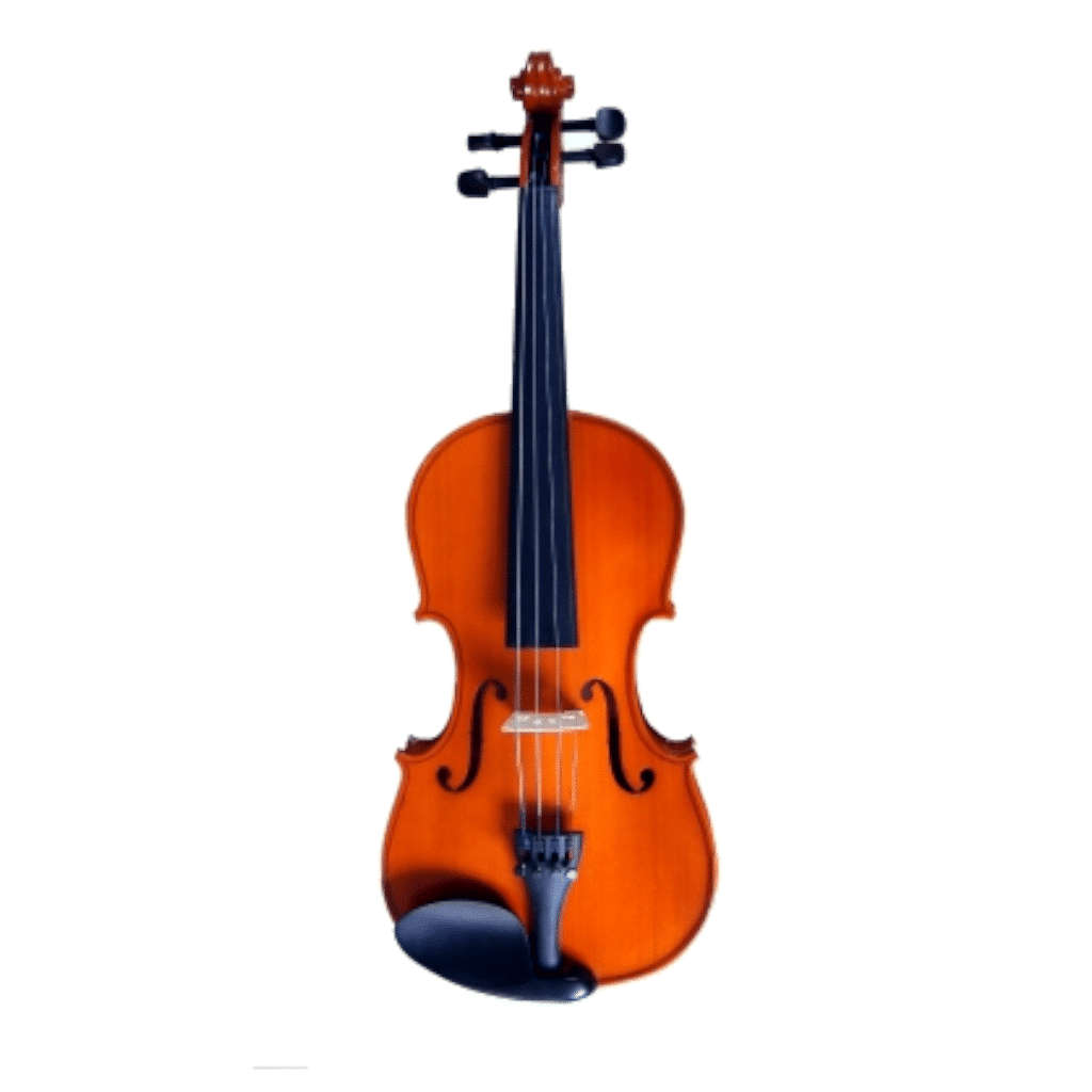 Flame Lily V11-44 Full size Violin Kit
